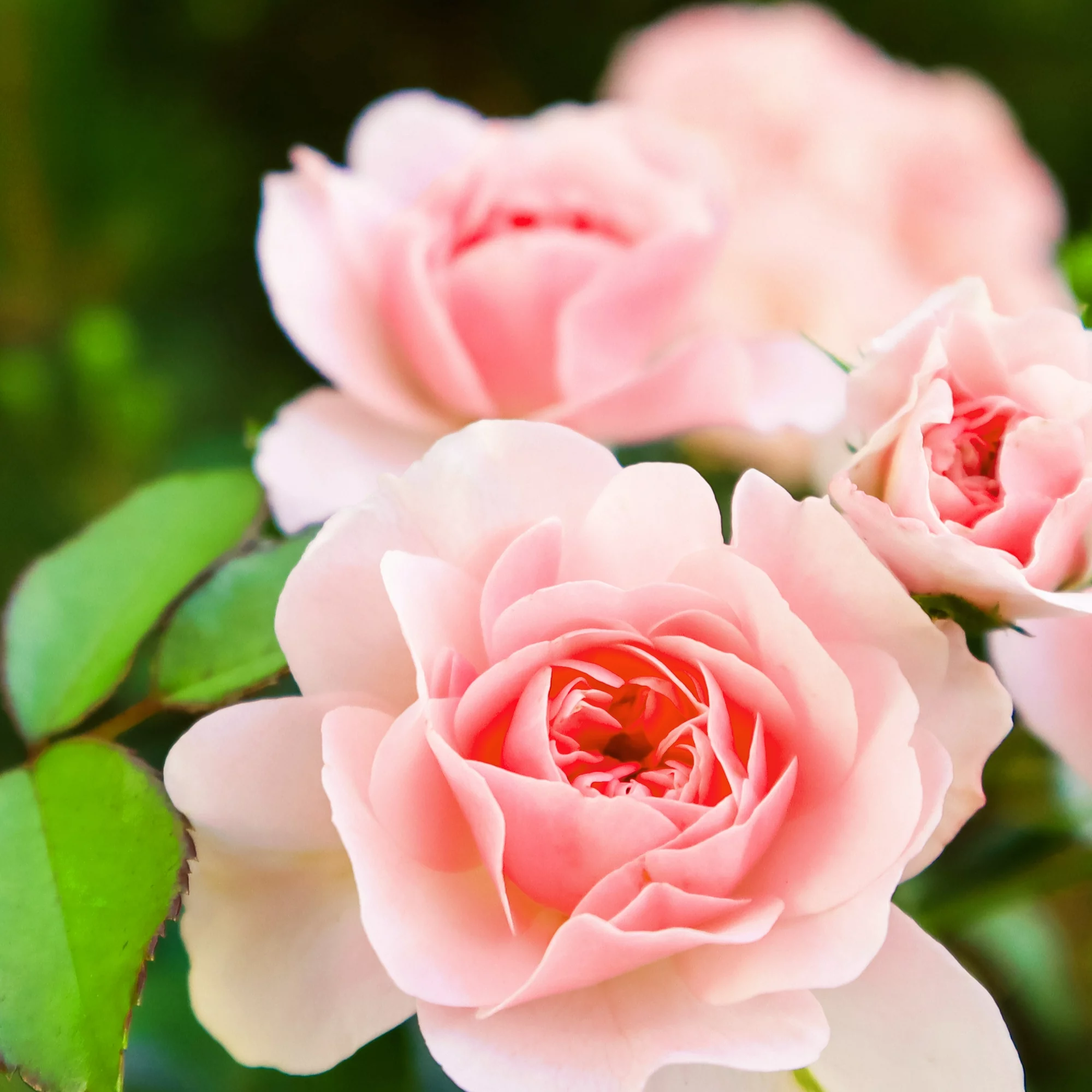 eb6e57e8-137b-40d3-934f-c85d7b0a9b7f.413121dcb4b48fef2bc68551999e3354