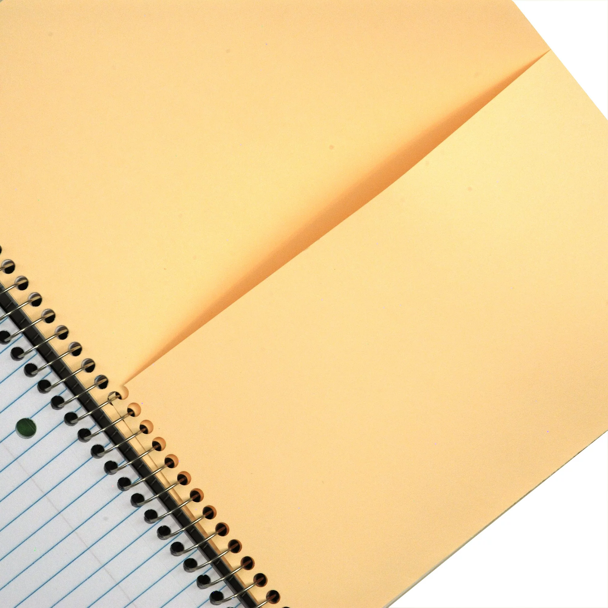 84260bd0-e9d4-4017-b9df-9c21a05908e3.1f9b2b2792fa434fce26b8cbdafc0ded