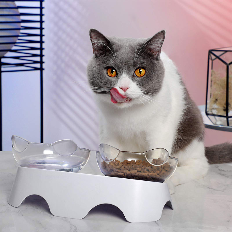 MILIFUN-Cat-Food-Bowls-Elevated-Tilted-2